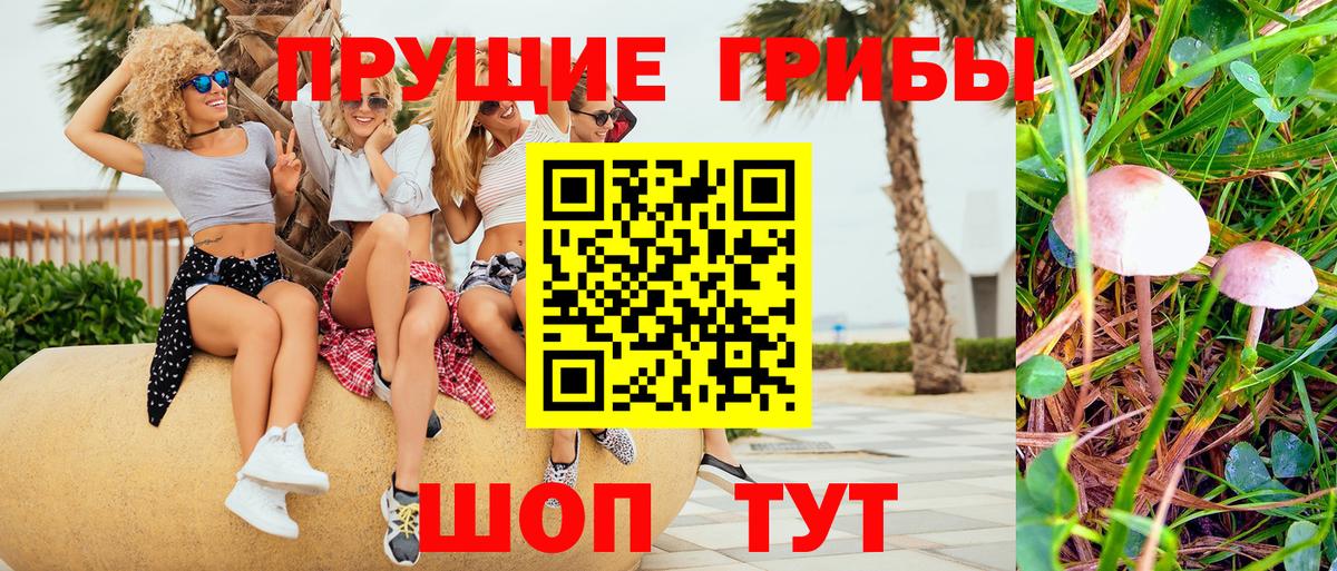 купить наркотики цена  Галлюциногенные грибы Cubensis  Вход с VPN  Галлюциногенные грибы Psilocybe  Павловский Посад 